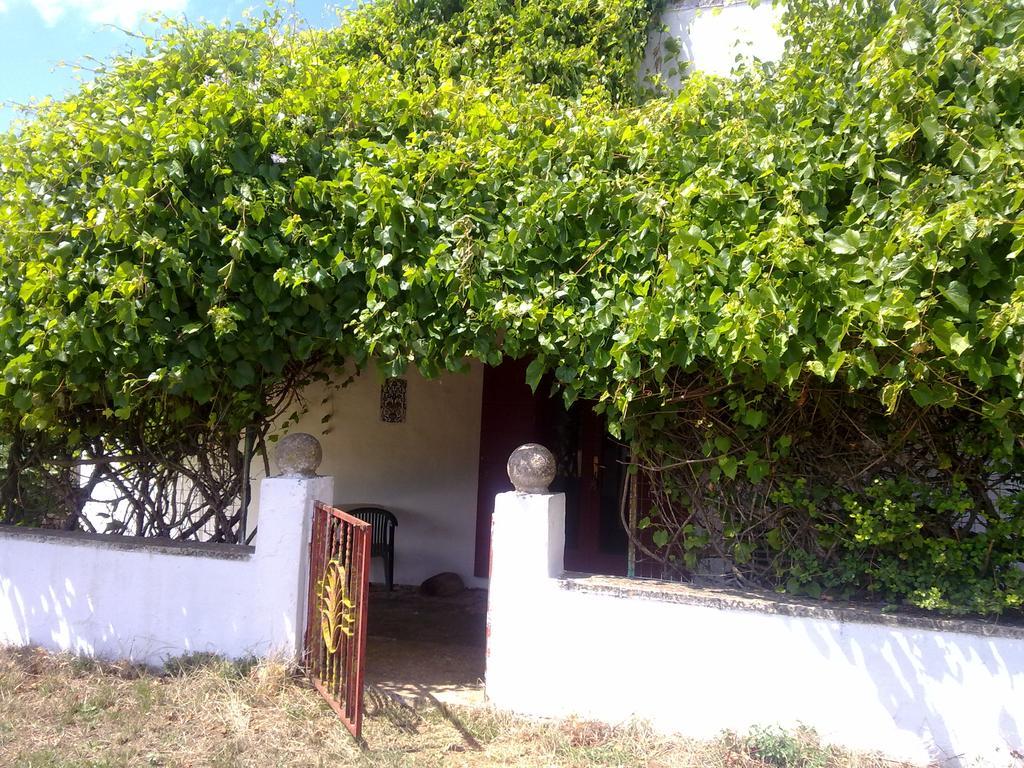 Masseria Murgia Albanese Ночі Екстер'єр фото