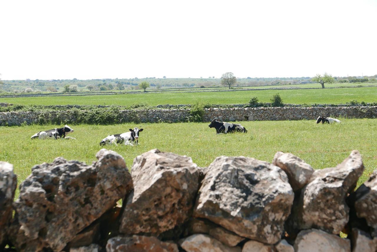 Masseria Murgia Albanese Ночі Екстер'єр фото