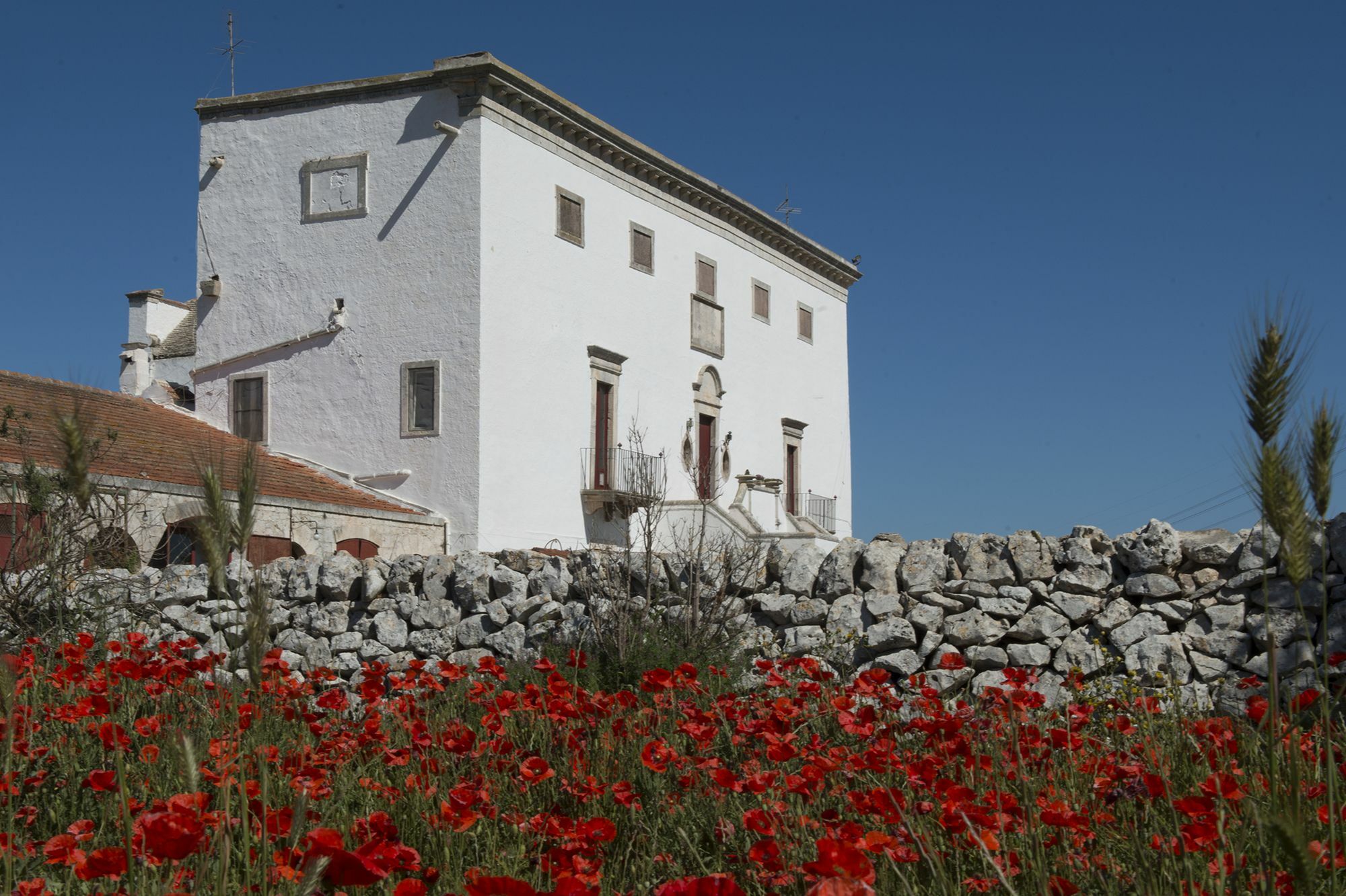 Masseria Murgia Albanese Ночі Екстер'єр фото